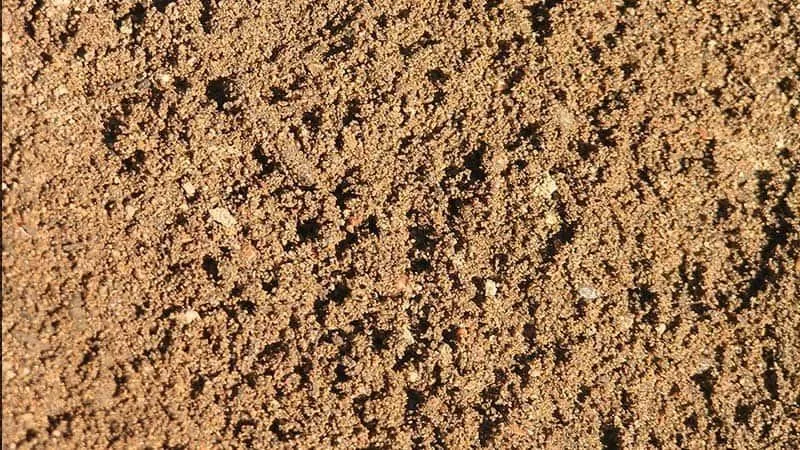 Clasificación del Suelo